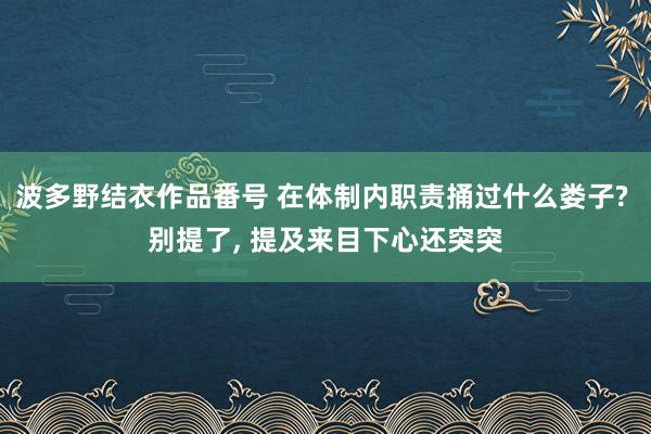 波多野结衣作品番号 在体制内职责捅过什么娄子? 别提了, 提及来目下心还突突