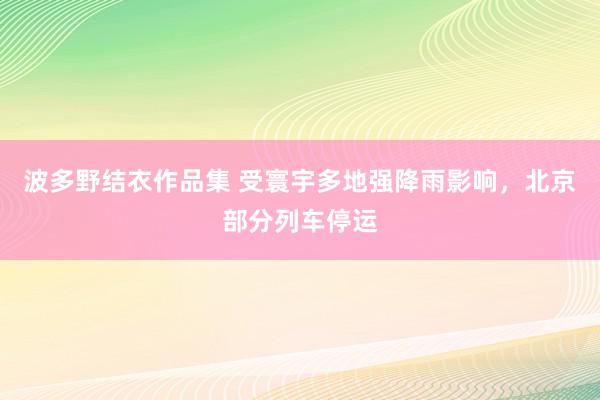 波多野结衣作品集 受寰宇多地强降雨影响，北京部分列车停运