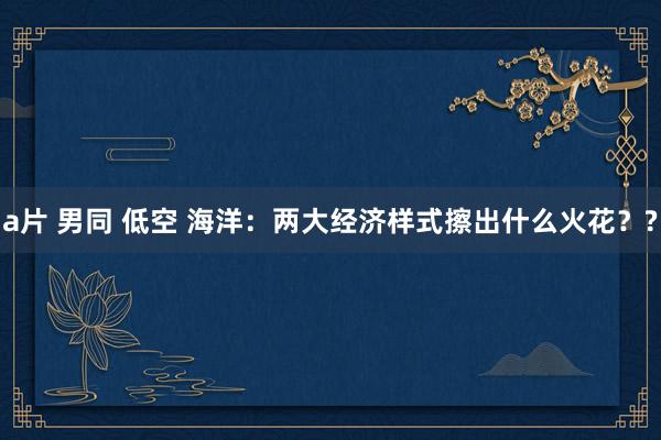 a片 男同 低空 海洋：两大经济样式擦出什么火花？?