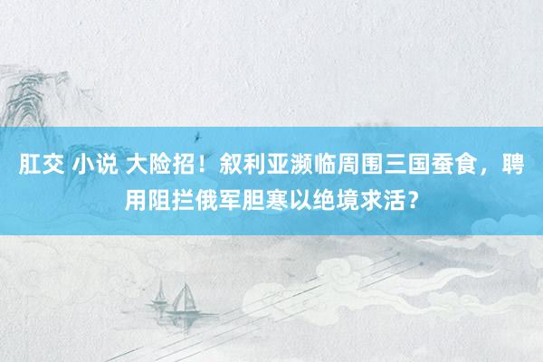 肛交 小说 大险招！叙利亚濒临周围三国蚕食，聘用阻拦俄军胆寒以绝境求活？