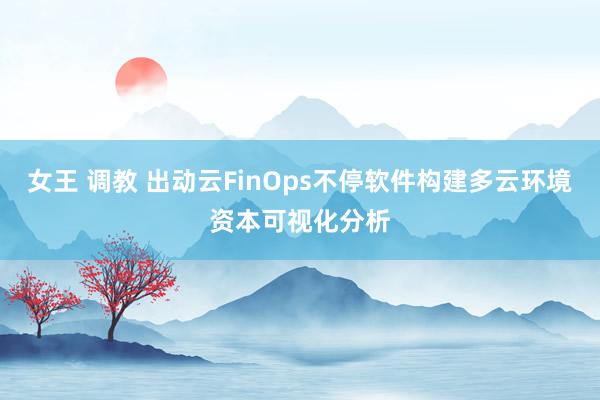 女王 调教 出动云FinOps不停软件构建多云环境资本可视化分析