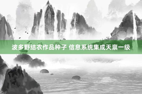 波多野结衣作品种子 信息系统集成天禀一级