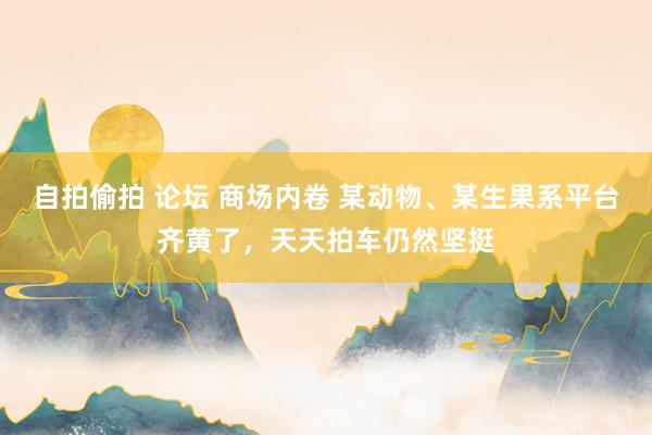 自拍偷拍 论坛 商场内卷 某动物、某生果系平台齐黄了，天天拍车仍然坚挺