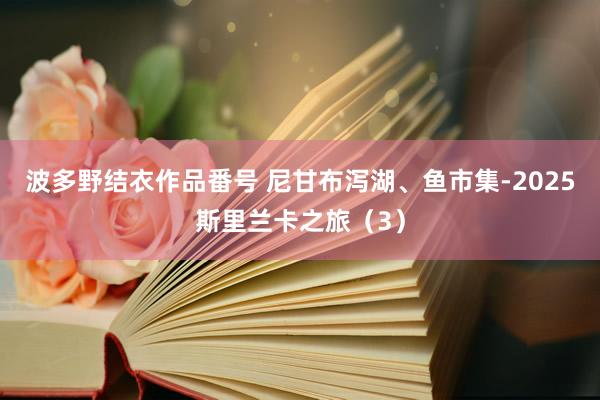 波多野结衣作品番号 尼甘布泻湖、鱼市集-2025斯里兰卡之旅（3）